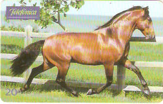 SP-0219- Andaluz é Solidez